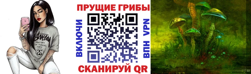 OMG ссылка  Велиж  Псилоцибиновые грибы GOLDEN TEACHER  закладка 